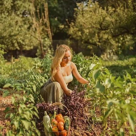 ホテル Pyramid Boutique *