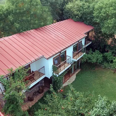 Pyramid Boutique ホテル *