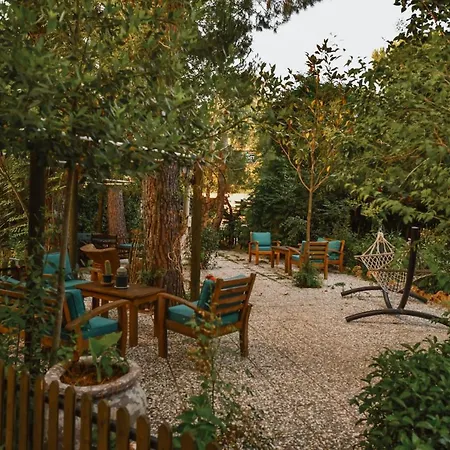 ホテル Pyramid Boutique