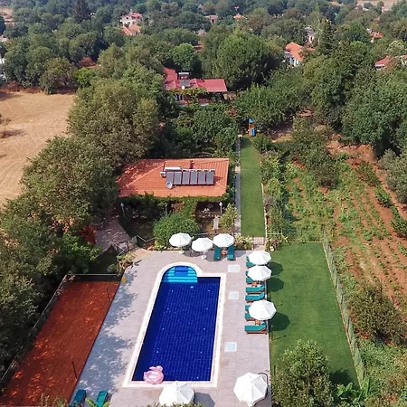 מלון Pyramid Boutique