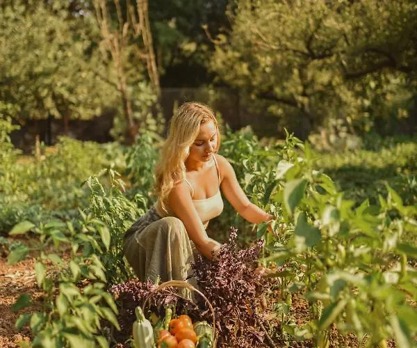 Hotel Pyramid Boutique *