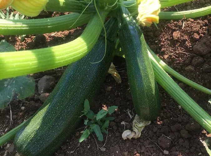 Pyramid Boutique Szálloda Kayakoy